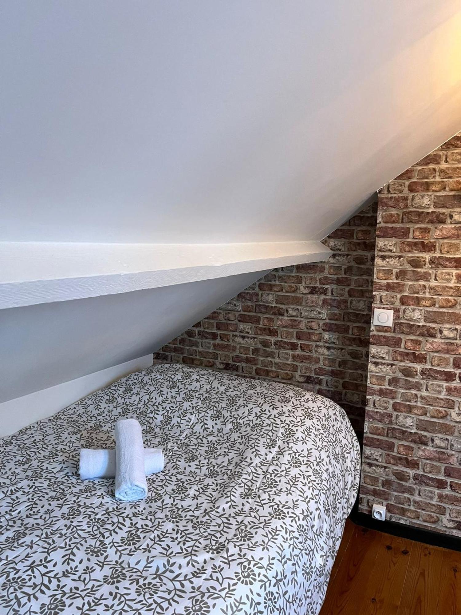 Gite Le Charme Citadin 55 M² Avec Exterieur Valenciennes Exteriér fotografie